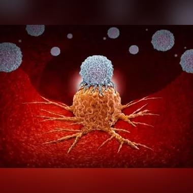 t细胞与靶细胞信息交流方式？