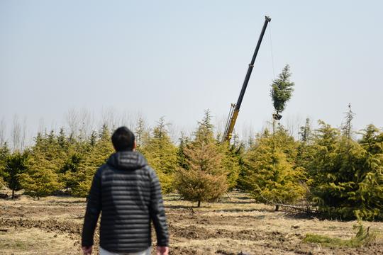 留学海归小伙子，放弃国外高薪，居然回老家选择做“农民”