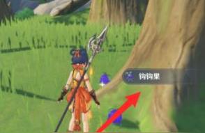 原神北风狼怎么去（原神奔狼岭怎么解锁狼王）