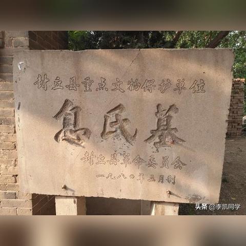 河南的意见怎么样