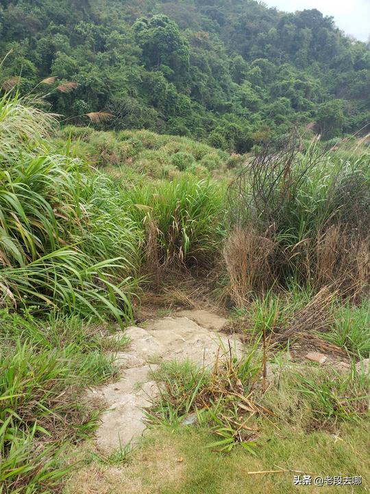 深圳葵涌到大鹏几个冷门小沙滩，交通便利，游泳烧烤赶海一网打尽