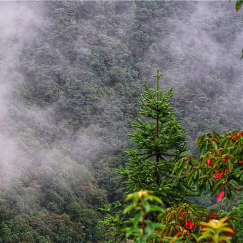 福建青山绿水怎么样