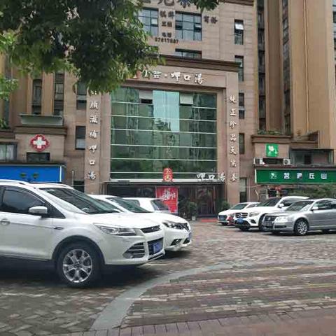 成都市市区绿化怎么样