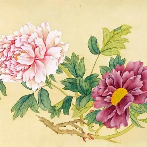 桂林哪里买盆栽相关长尾关键词有哪些