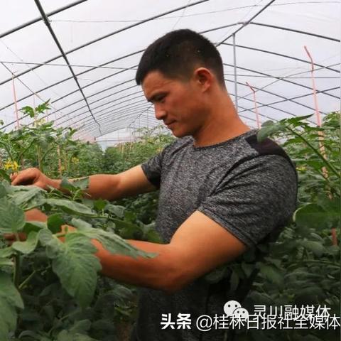 【桂林今日鸡蛋价格】2025年10月21日桂林鸡蛋价格是多少