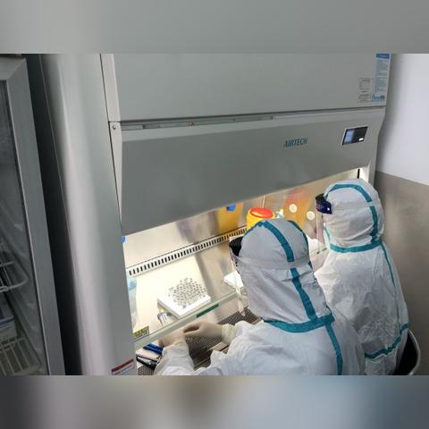 武汉必须核酸检测的长尾关键词有哪些