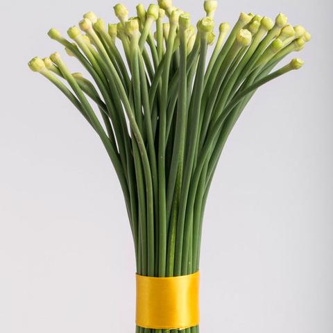 芒果不能和什么一起吃