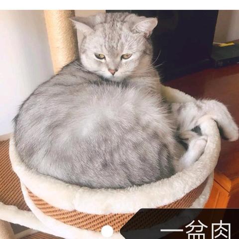 外公生日祝福语大全的长尾关键词有什么