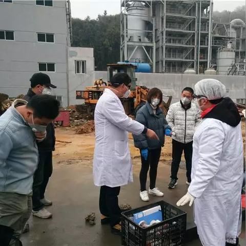 福建地区疫情情况的相关长尾关键词有哪些