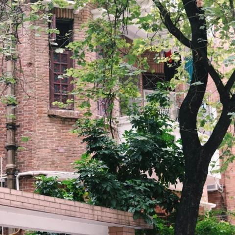 单广州市什么级别