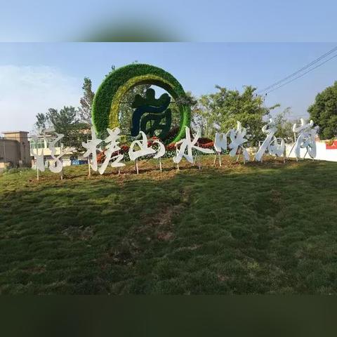 广东合肥市什么姓最多