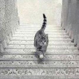 左脑右脑分别控制什么