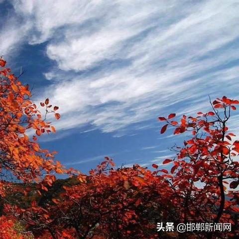 邯郸市平均海拔是多少高