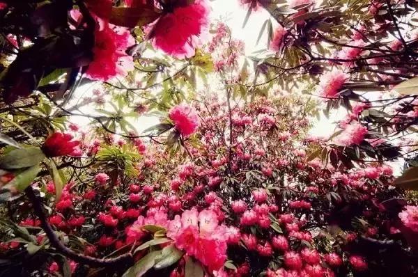 2021立秋早安心语图片正能量说说