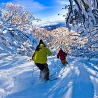 沈阳易行电话相关长尾关键词有哪些