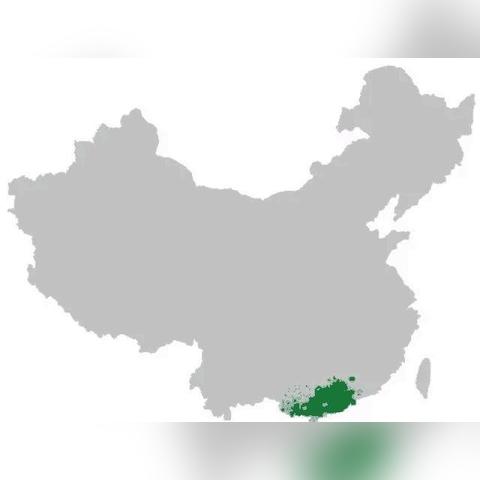 福建靠近广东吗？怎么好多福建人都讲粤语？