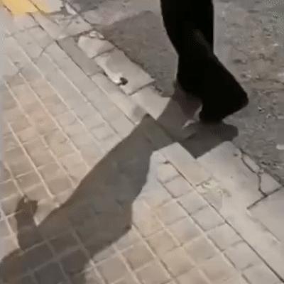 济南疫情封城相关长尾关键词有哪些