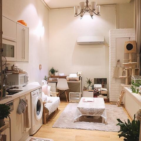 长沙带猫去杭州相关长尾关键词有哪些