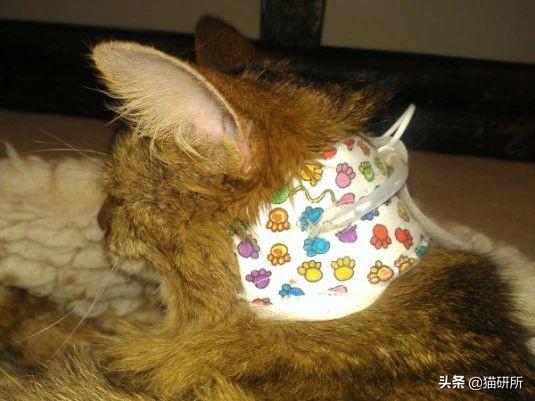 宝宝生病没食欲