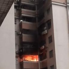 广州市陶育路是什么区域