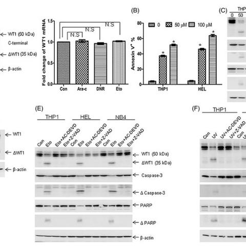 温州市化学竞赛怎么考