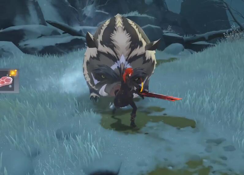 原神远古的馈赠野猪怎么拿（原神肉排怎么获取最快）