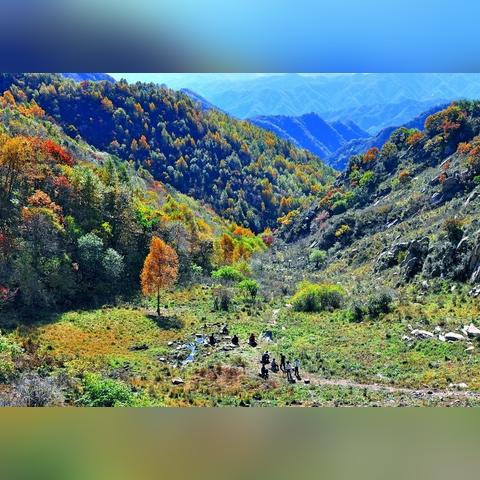 保定市管理停车场有哪些