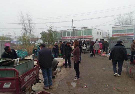 以前赶着进城的几种人，如今陆续回农村，是城市待不下去了吗？
