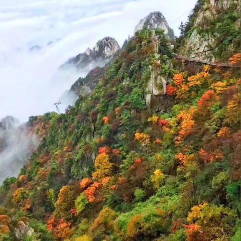 广西桂林天瑞餐饮管理相关长尾关键词有哪些