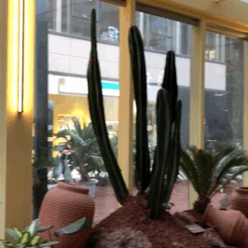 西安市外专局管什么