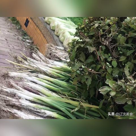 沈阳到皮口怎么走相关长尾关键词有哪些