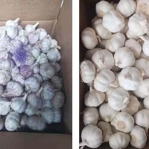 济南万鑫食品相关长尾关键词有哪些