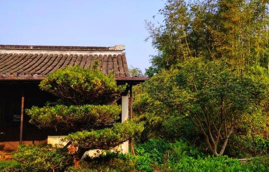 广州冷门景区，花开季节景色超美，人文景观建筑多，知道的人不多