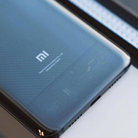 福建蜜柚什么梗