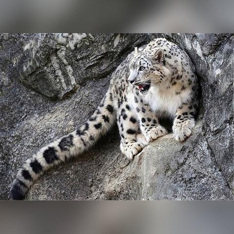 宁波 林海的长尾关键词有什么