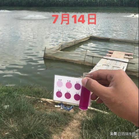 想知道你的八字命运？这份分析能帮你少走弯路