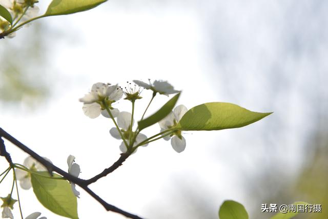 春季小儿易受湿