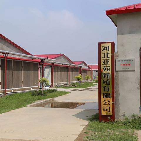 石家庄市肥料概况的长尾关键词有什么