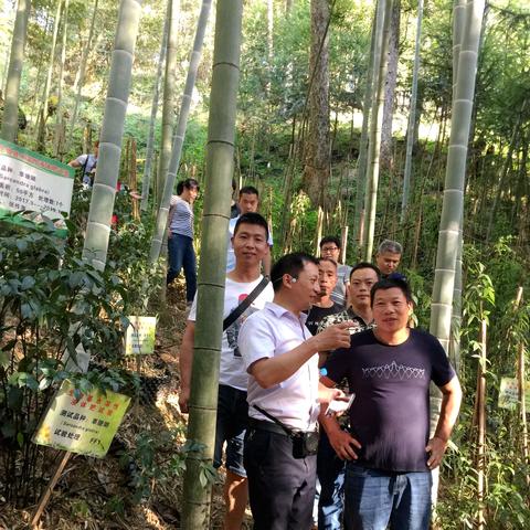 福建创业过程怎么样写