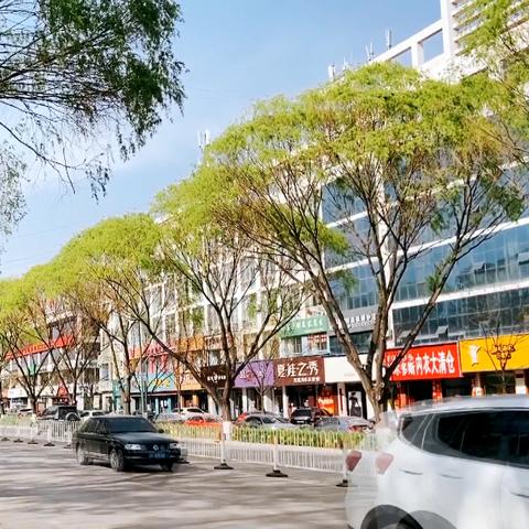 最新绿化面积计算规则？