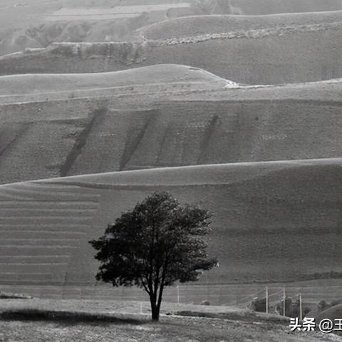 河南人属什么族的