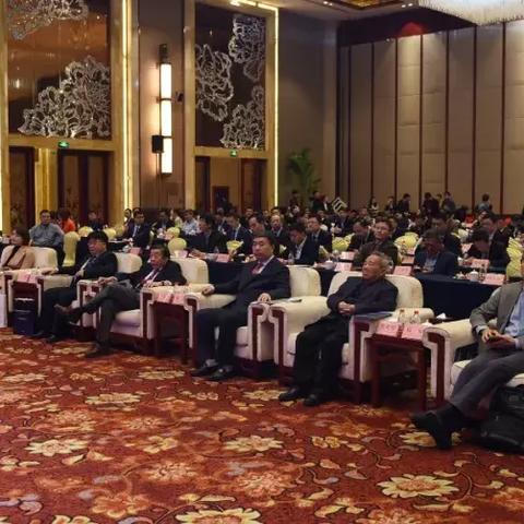 宁波市主要发展什么行业