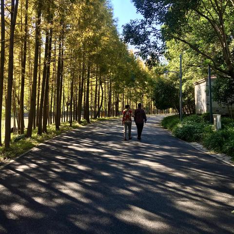 石家庄市世纪公园在哪里