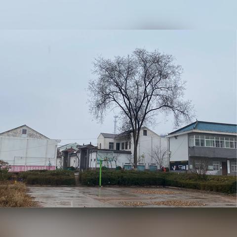 河南文件 美丽乡村的相关长尾关键词有哪些