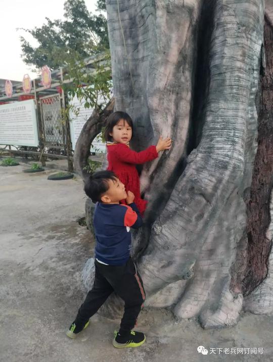 在元江村，近距离接触陈印带和他的家庭，张祥敏（梦飘零）