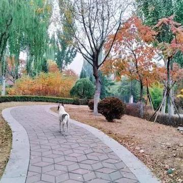 保定市体育场所出租信息的长尾关键词有哪些