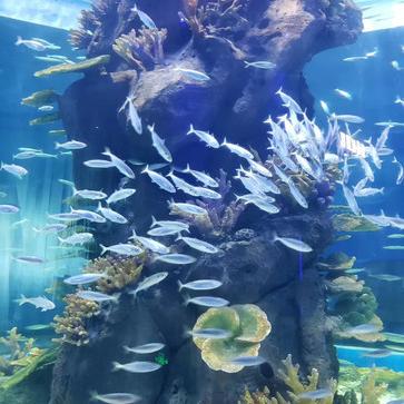 2025.12.19南宁今日气温变化情况