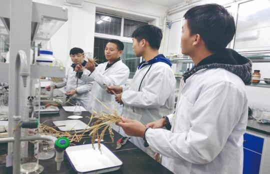下好创新先手棋激发创业源动力建设创业型城市助推长春高质量发展