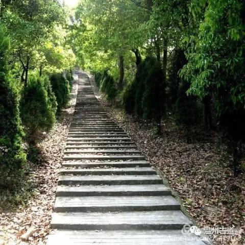 温州市古物回收市场地址的长尾关键词有什么