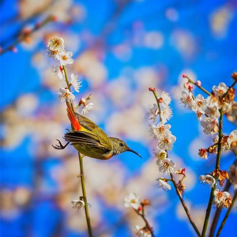 花筑济南相关长尾关键词有哪些